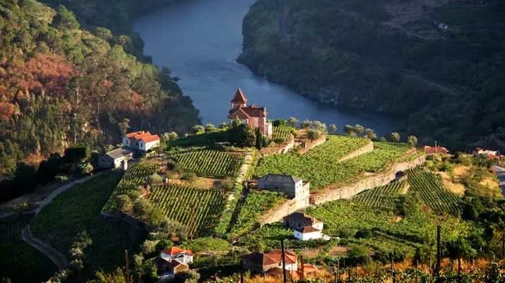 不喝葡萄酒的国家，捧不起大力神杯