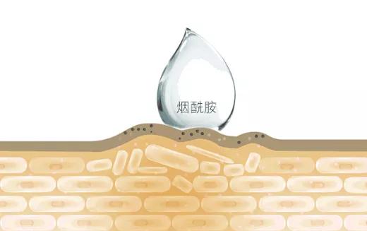 男生护肤变帅逆袭,男生快速入门护肤