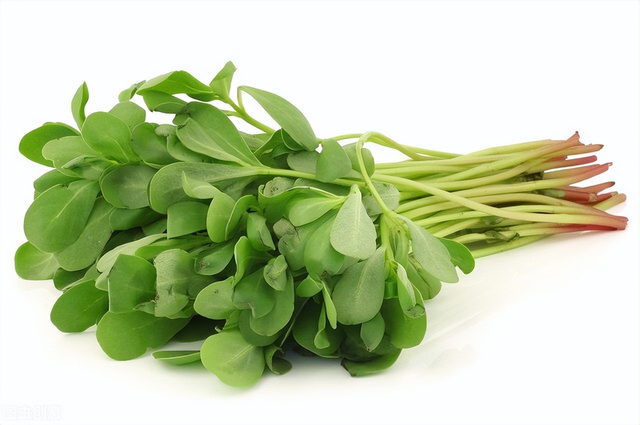 马齿苋干菜蒸包子馅的家常做法,干马齿苋蒸包子吃焯水多长时间