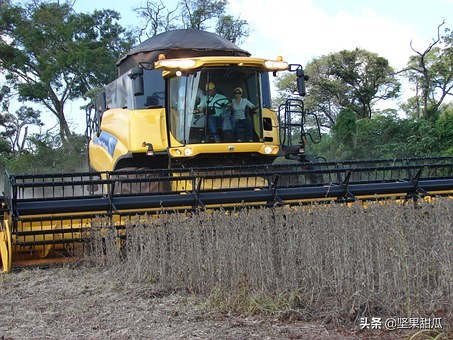 巴西国土资源有多好,巴西盛产什么农业产品