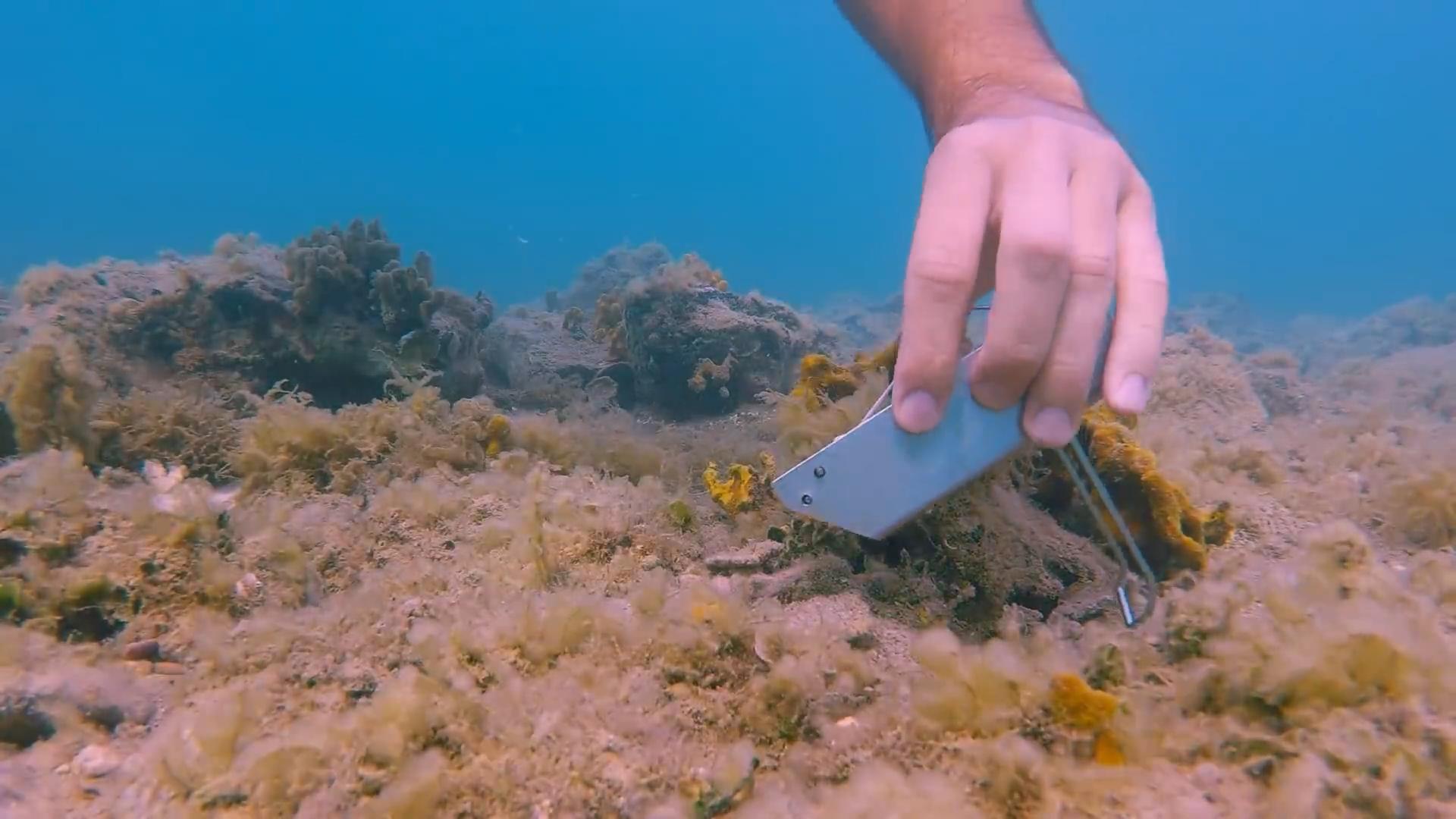 博比特虫遭遇人类袭击,巨型博比特虫