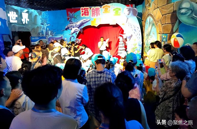 贵州海洋极地海洋馆,极地海洋世界小宝宝