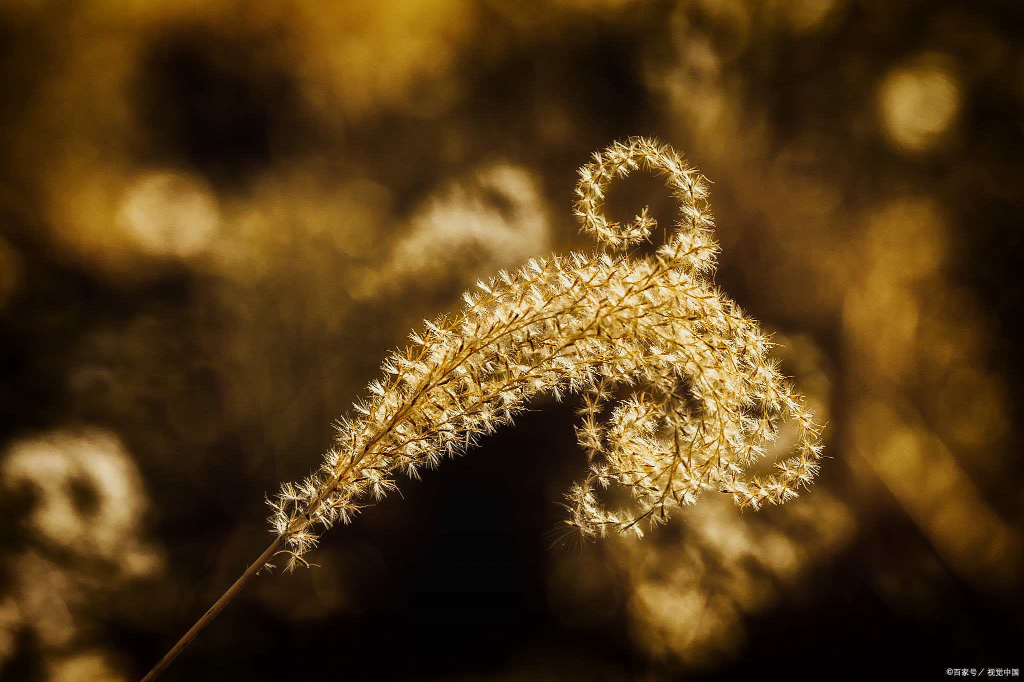 年轻人建议你没事多存钱,不买衣服多存钱