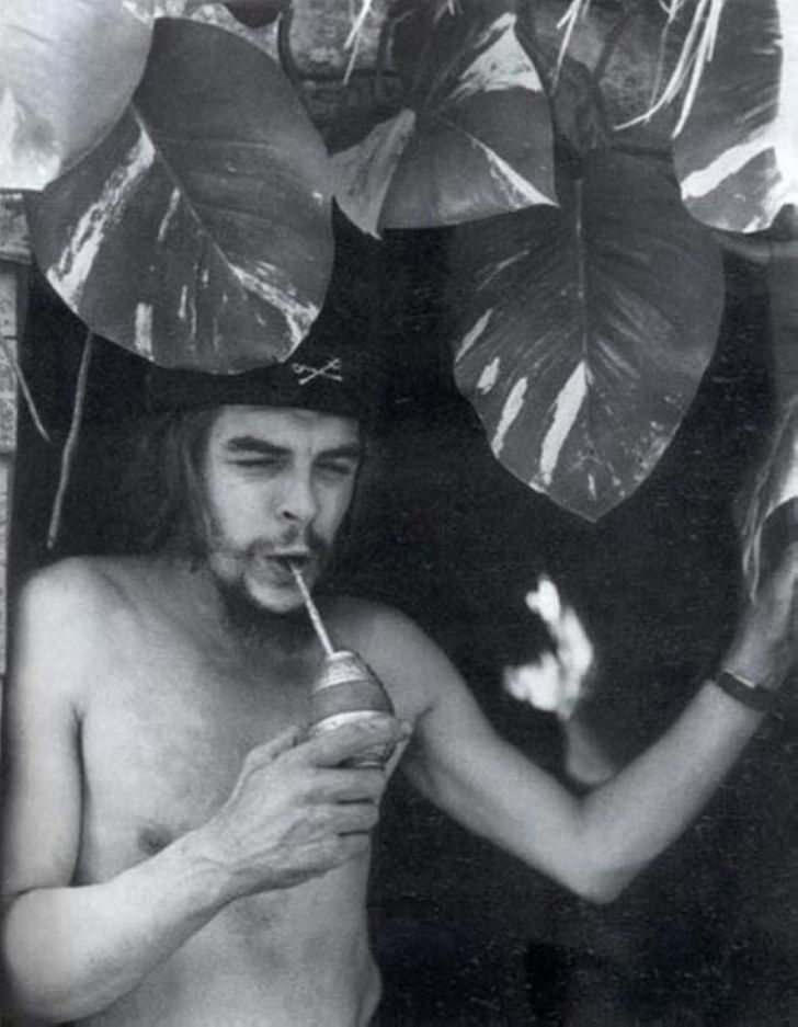 25张活久未见的照片，7岁的C罗、8岁的王妃、小李子用啥泡酒？