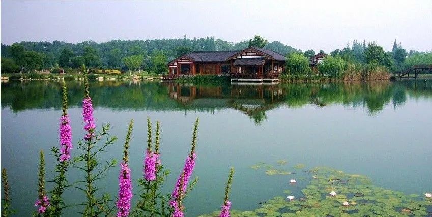 苏州旅游团5日游,苏州旅游团七日游