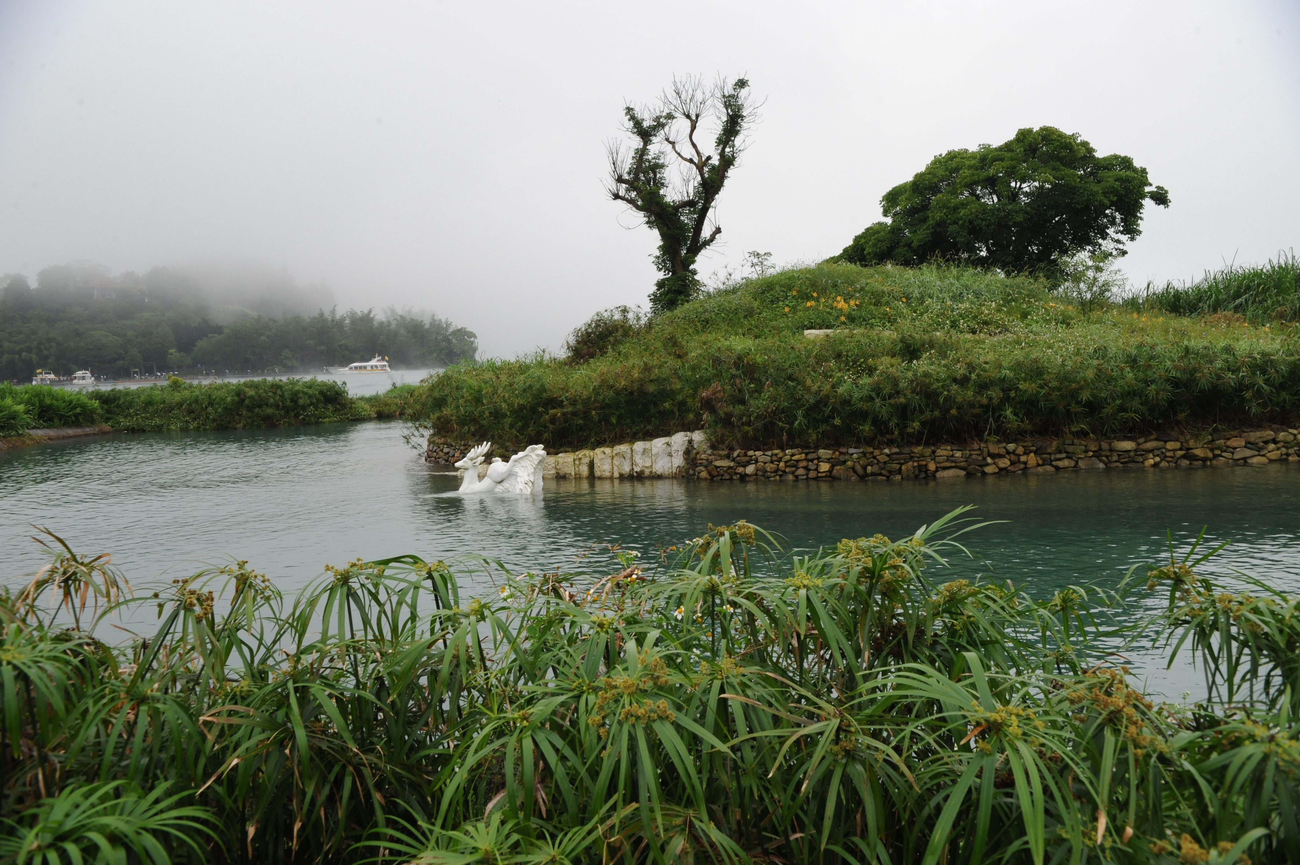 祖国我来了完整版,祖国我来了