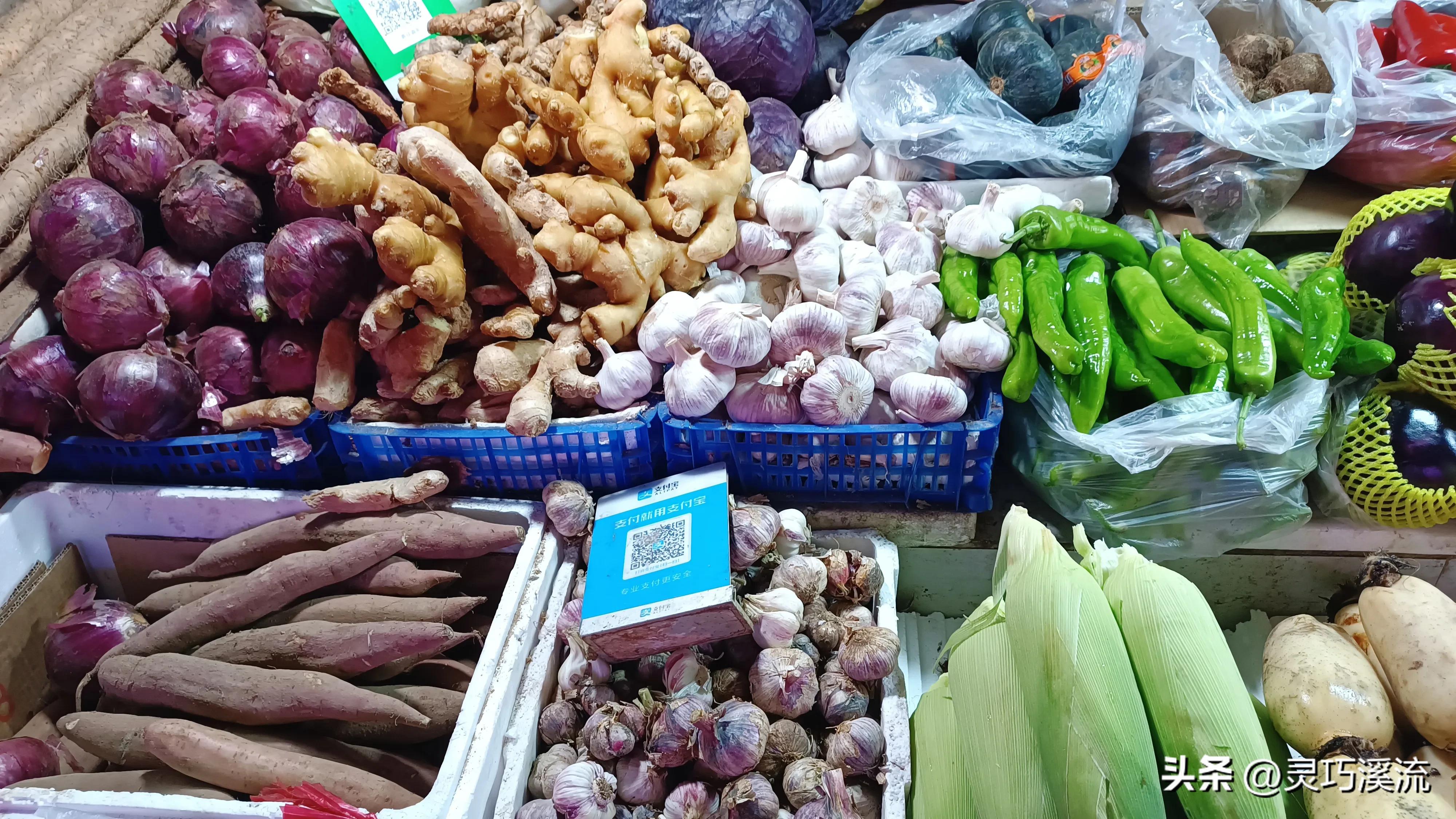 周末生活日记100篇 (日记50字周末生活)