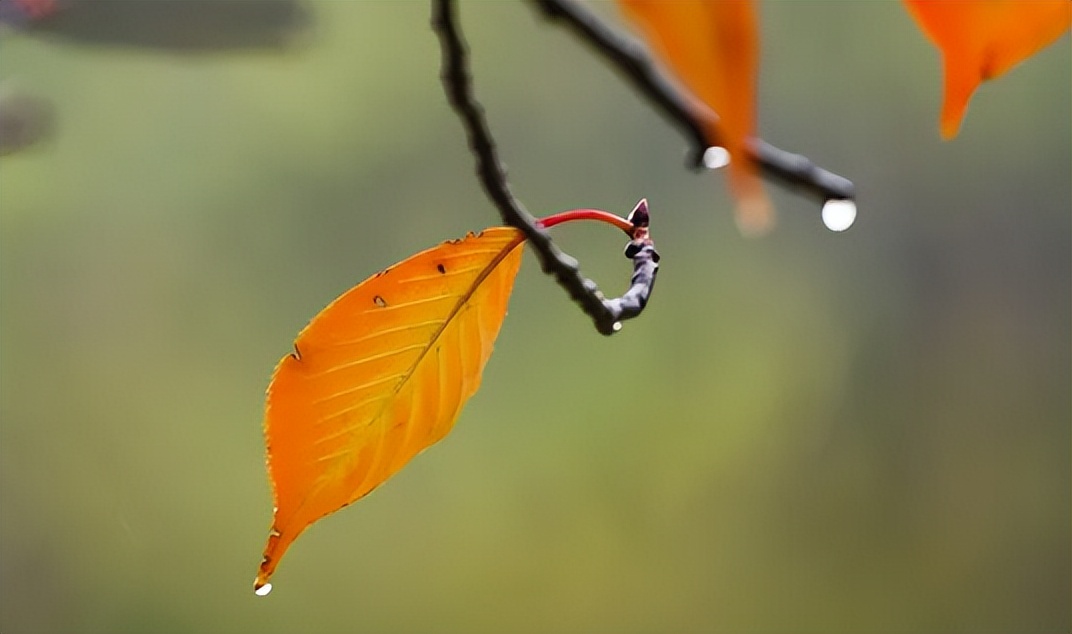 体寒特别怕冷十全大补汤,天气寒冷也要锻炼