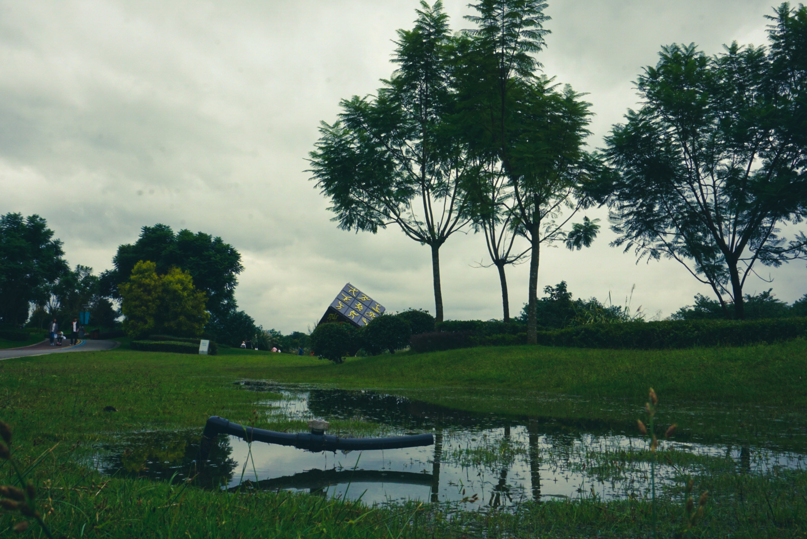 微单：SONYα6000手机：XIAOMIMIX4记录我的美好时刻