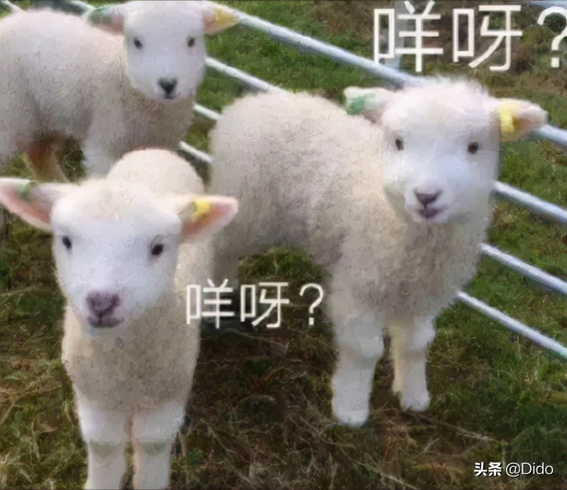 盘点全国各省市方言,盘点各个省的方言