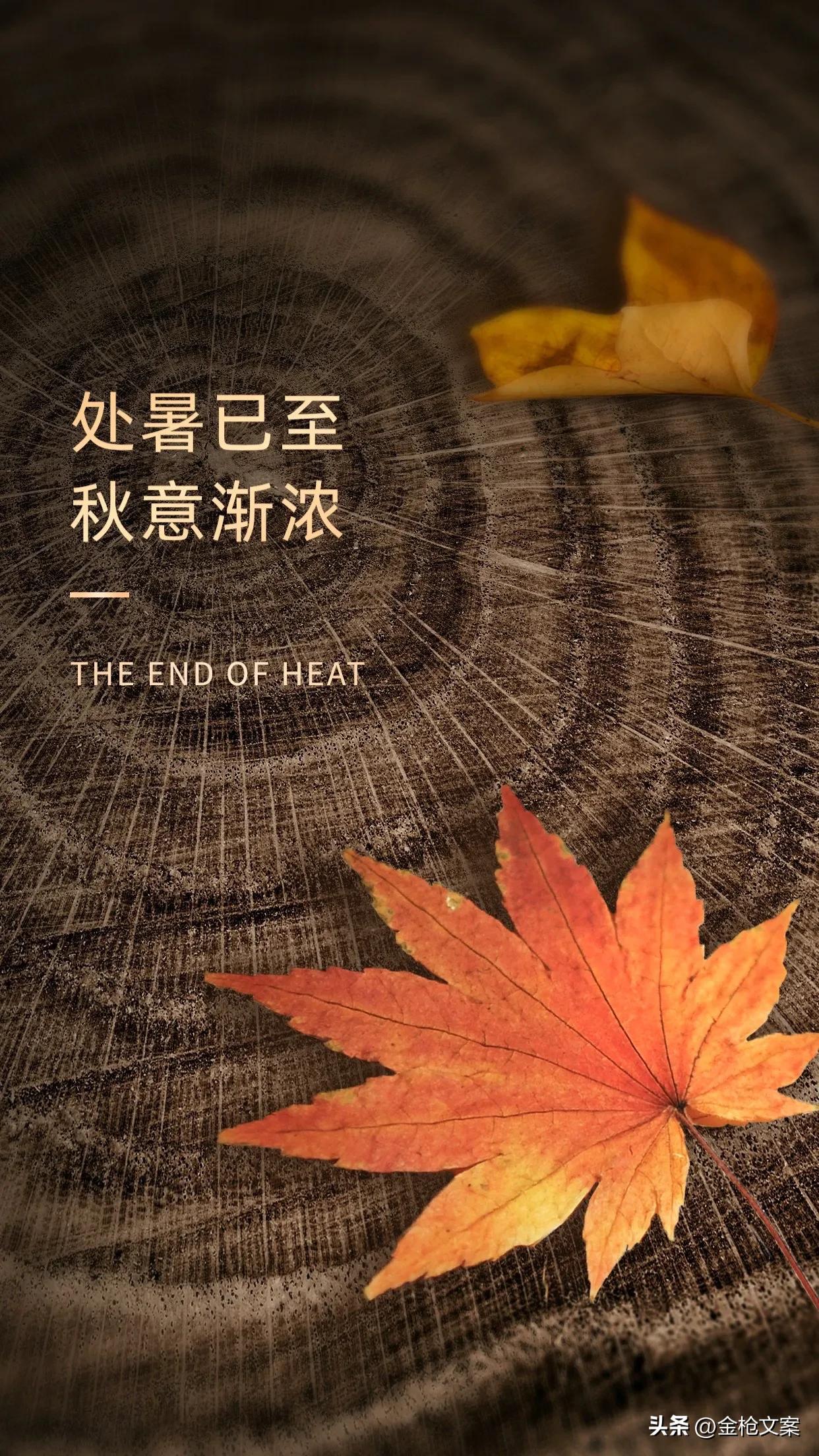 二十四节气处暑朋友圈,二十四节气处暑日记