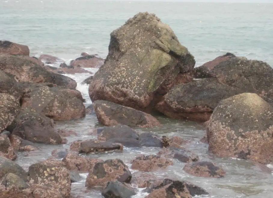 东北小伙一亿买石头,东北小伙花两亿买石头现状