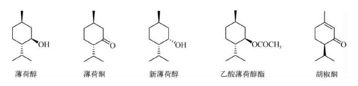 植物精油是挥发油吗,植物的精油是什么成分