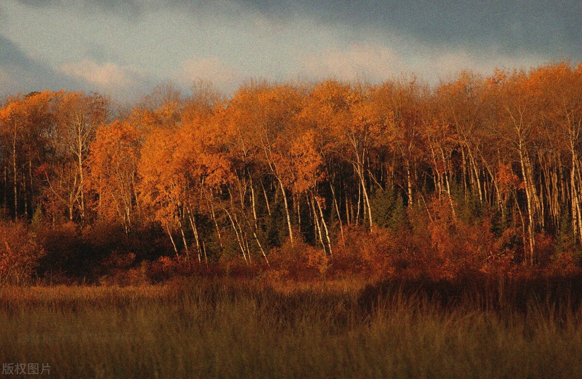 尿频尿痛前列腺炎吃什么中成药,尿频尿急前列腺炎有什么食疗方
