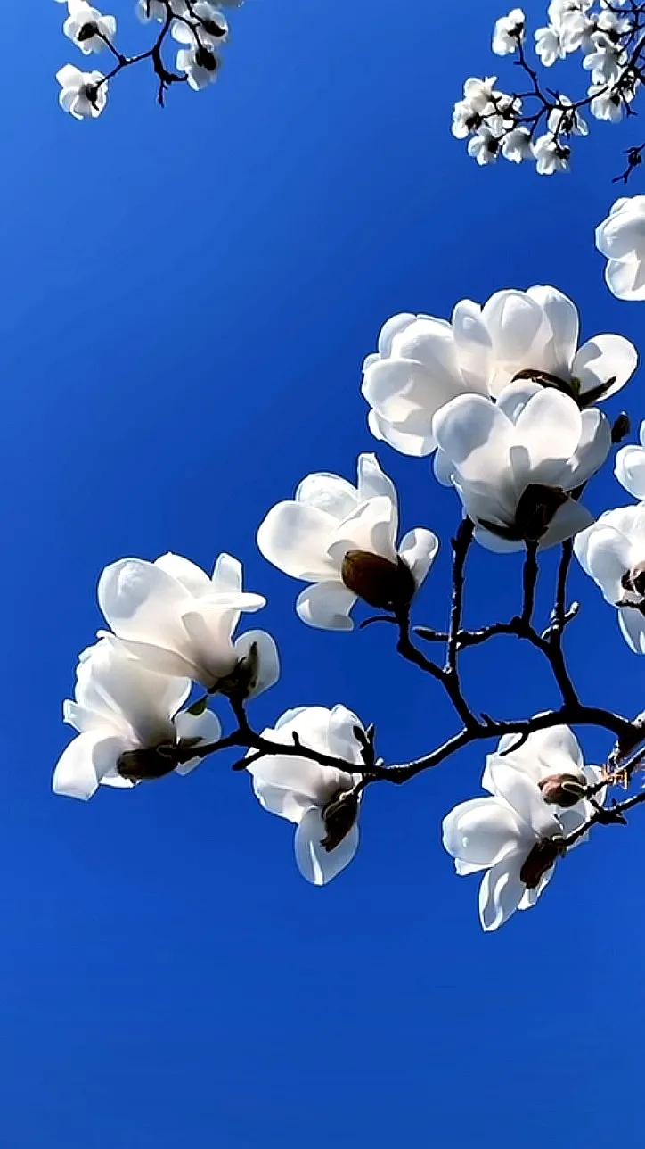 浅谈中小学生抑郁情绪的成因与对策