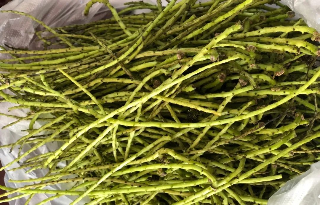 大理核桃花,大理赏花食花