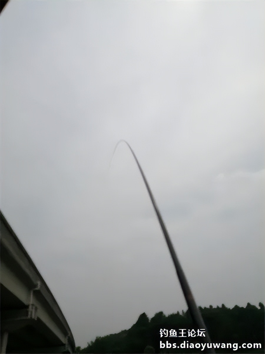 崇明北横引河水深,北横引河能钓鱼吗