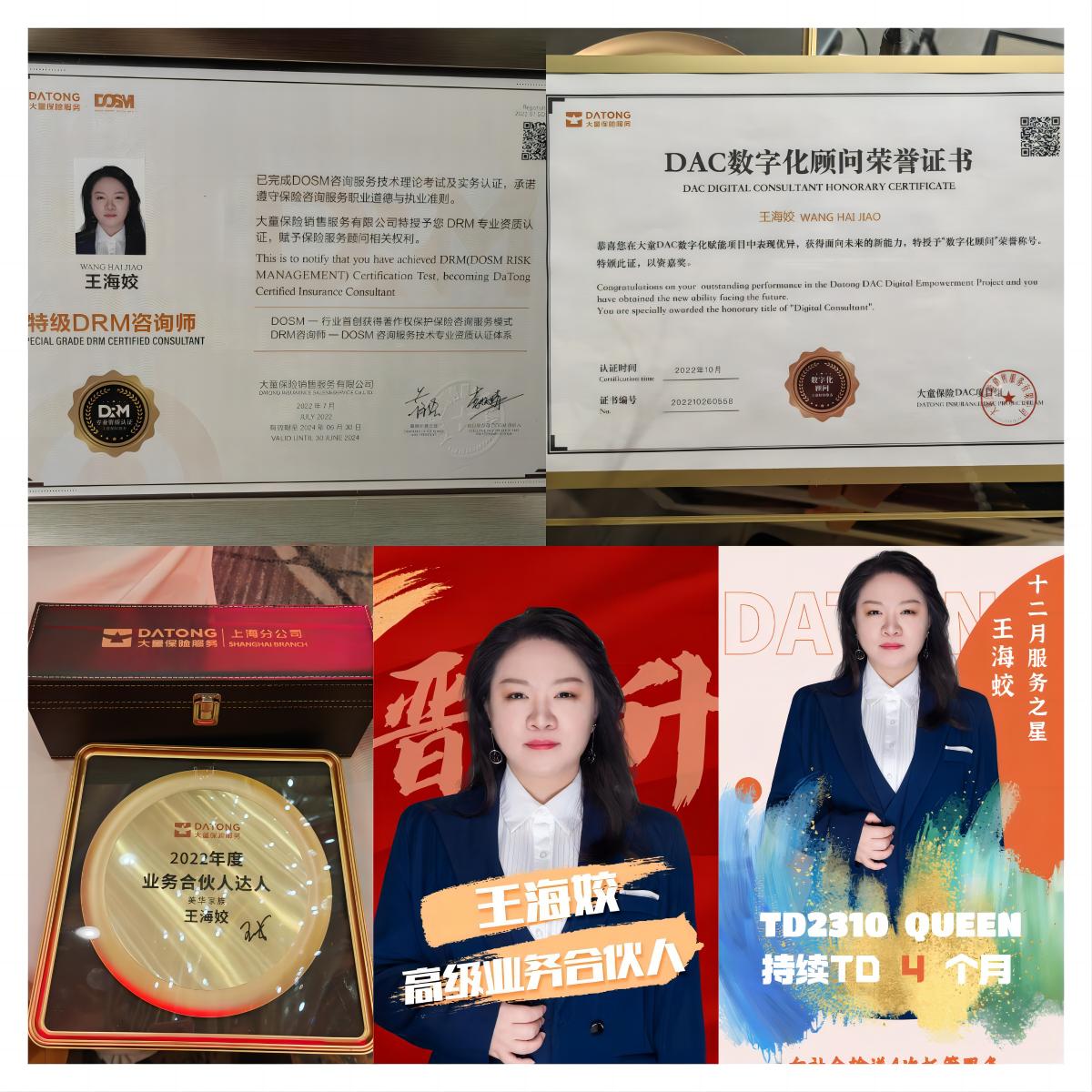 大童保险高级合伙人,大童保险高级业务合伙人