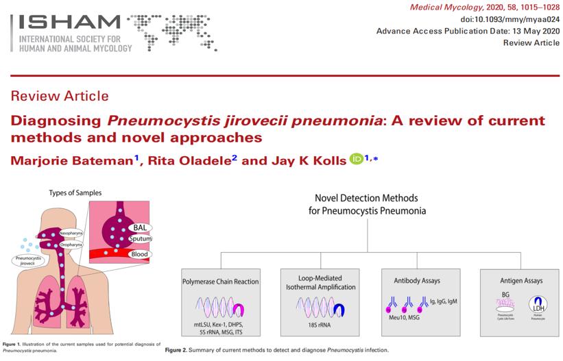 hiv感染肺孢子菌肺炎,hiv患者检查出耶氏肺孢子菌