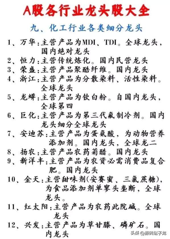 2019年各细分行业龙头股一览表,2023年各行业龙头股清单