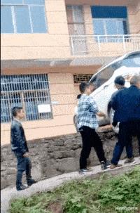 学生适合在宿舍里养的小宠物,在宿舍偷偷养的小宠物