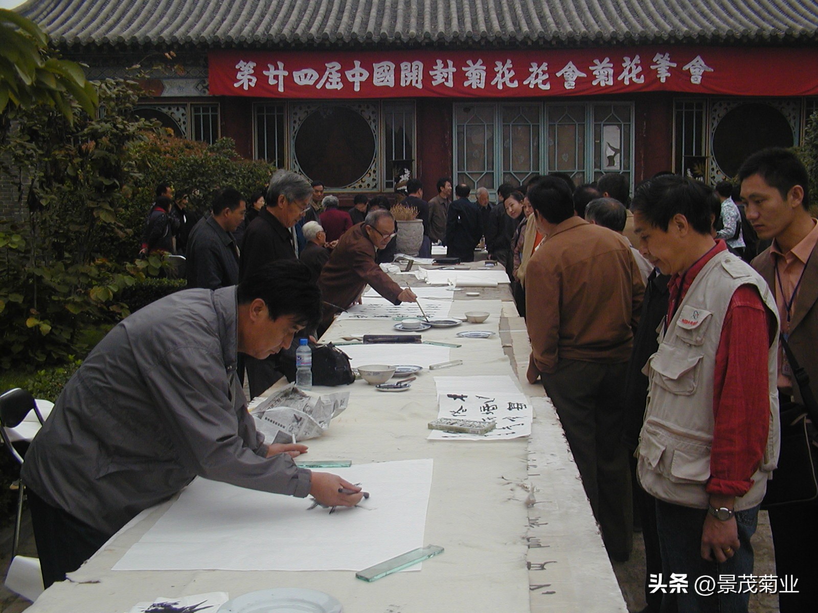 菊花的物态文化、行为文化与精神文化