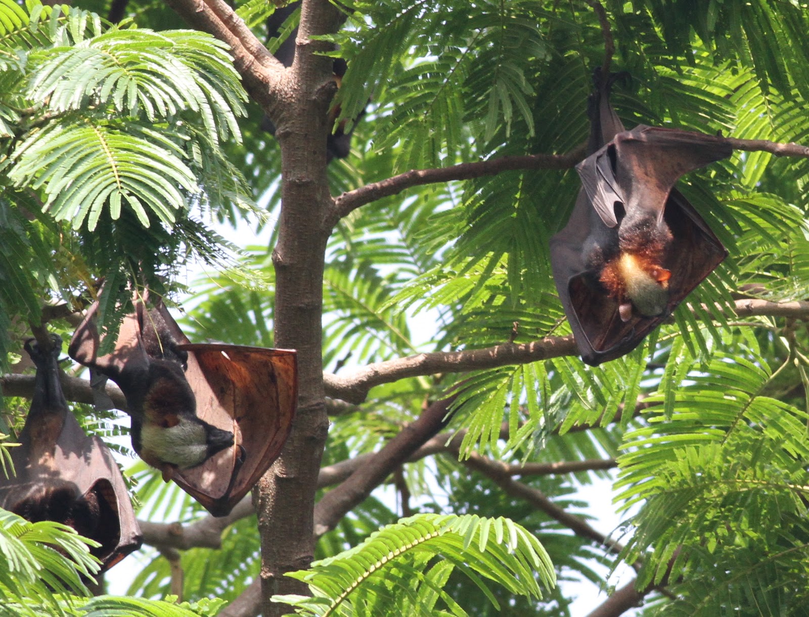 喂奶这件事,女人能行,男人能行吗?