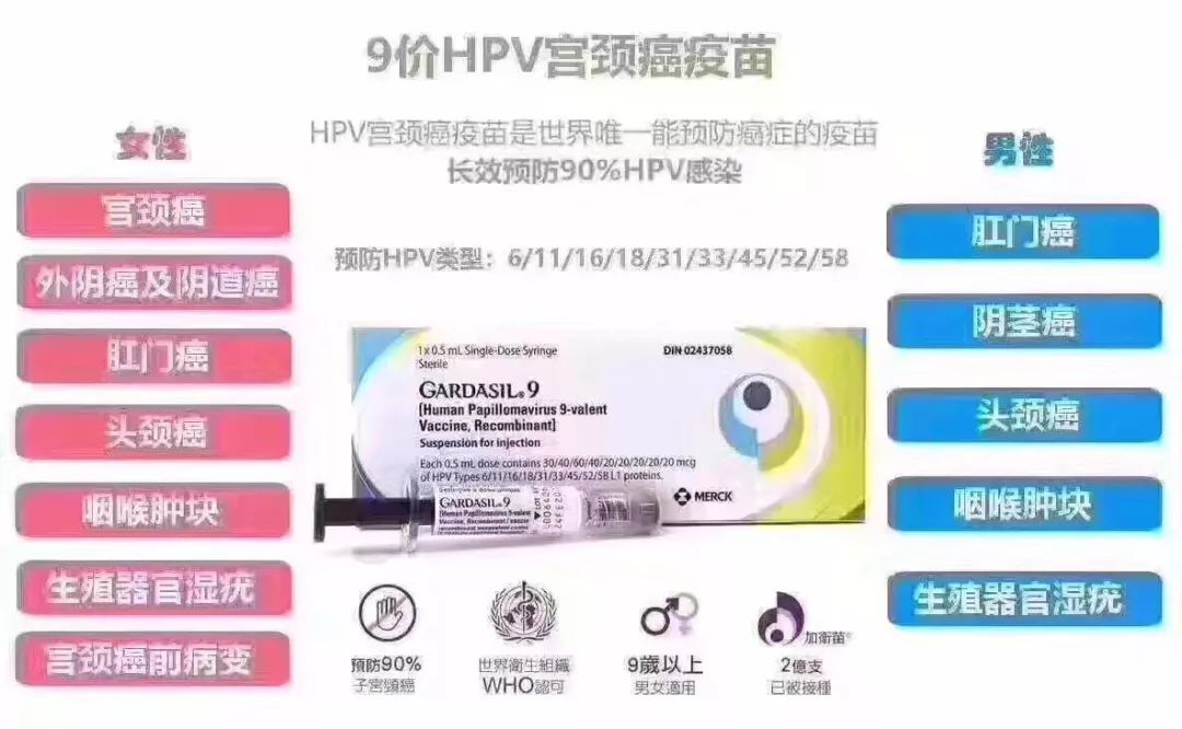 出海四件套,赴港接种复必泰二价疫苗