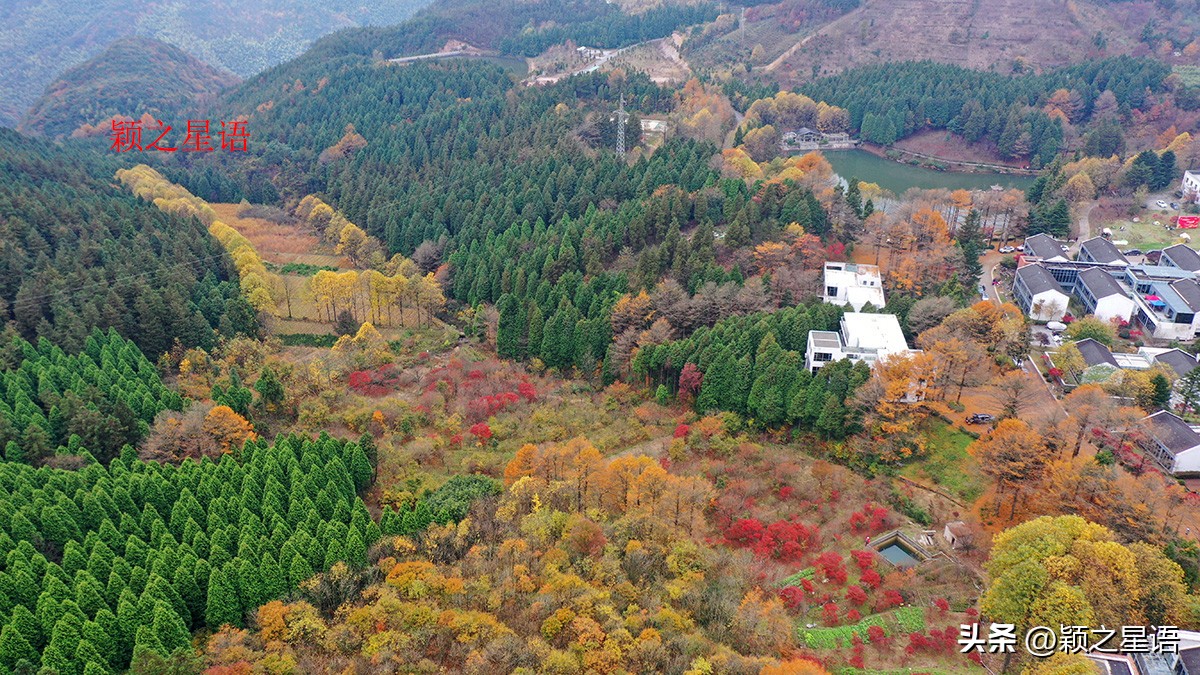 宁波四明山秋色,宁波仰天湖大草原
