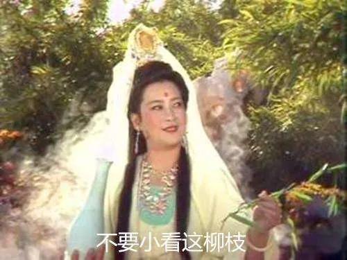 “柳枝”可不只代表“送别”，一文读懂所有“杨柳”文化