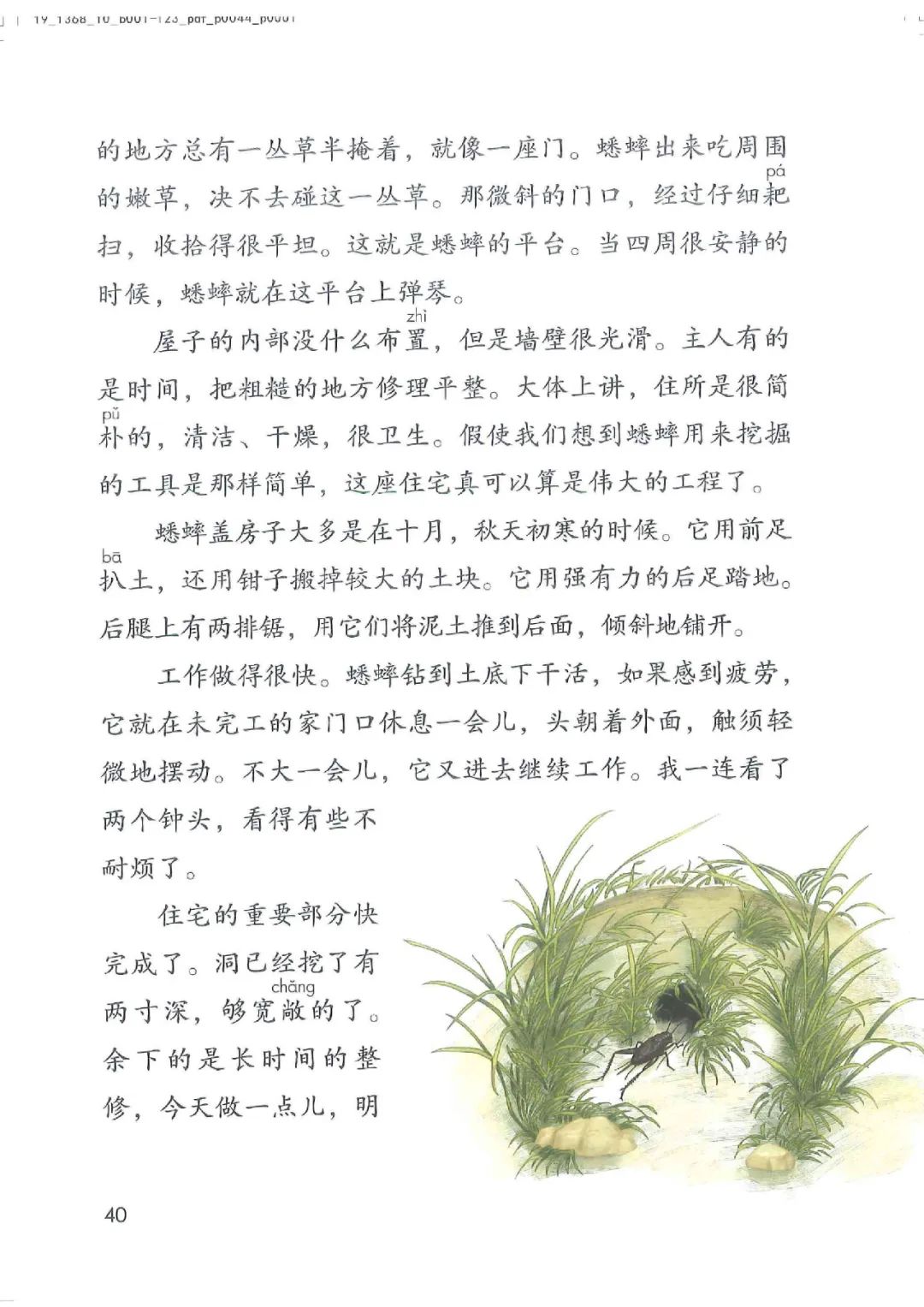 暑假预习教材推荐人教版,四年级上册语文课本人教版完整版