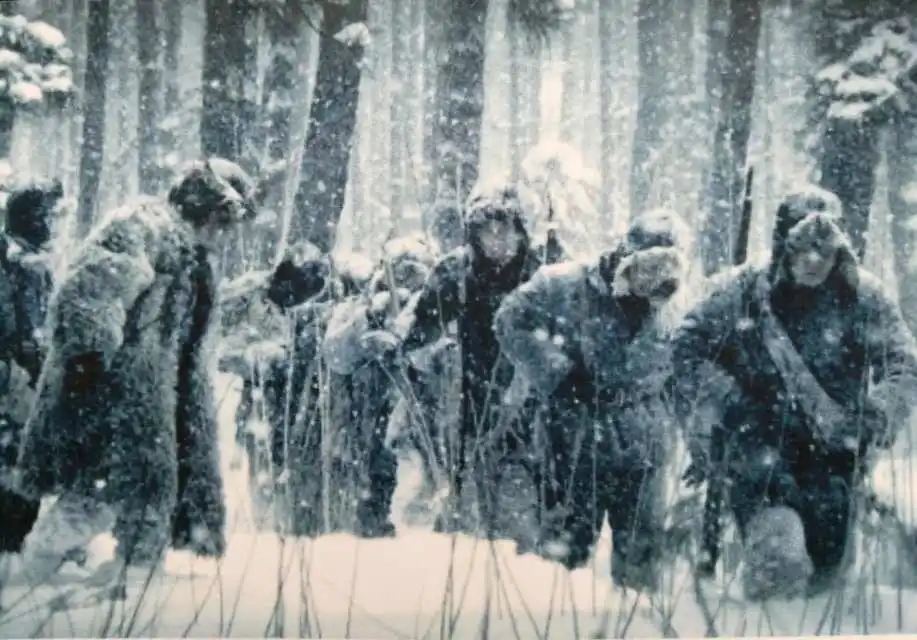 经典咏流传铜官窑瓷器题诗节选,长沙铜官窑瓷器题诗乐乐课堂