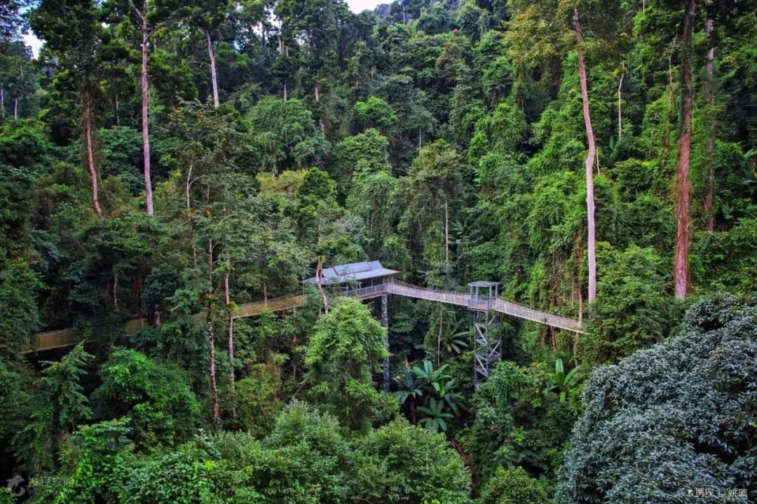 西双版纳风景优美的康养公寓,西双版纳民宿万达片区