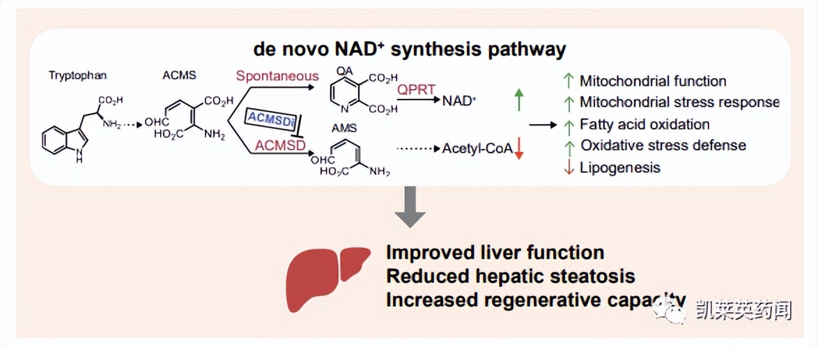 一天内收购一家上市公司,一天内收购一家上市企业