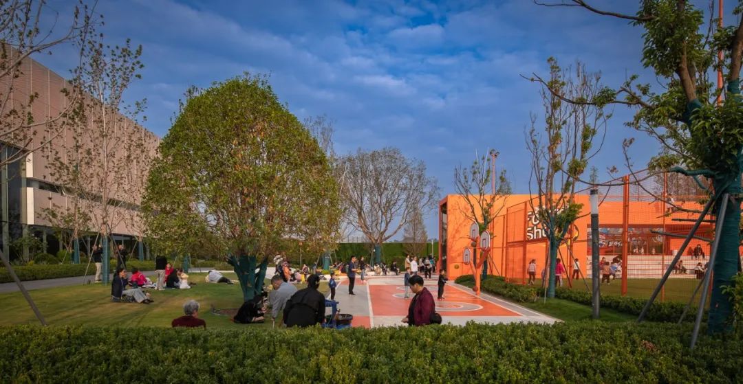 把家弄成游乐园是什么样的,把家打造游乐场是什么体验