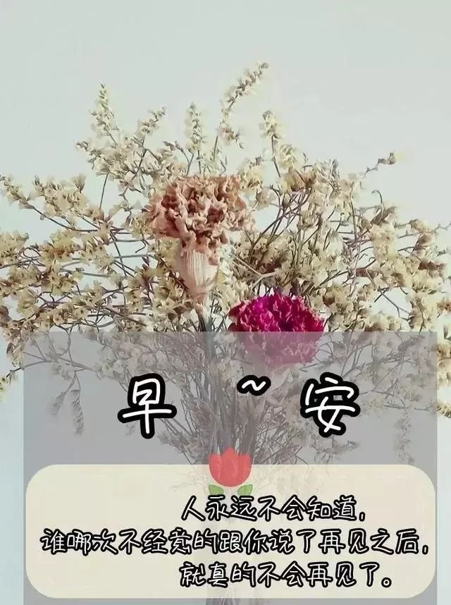 早安心语励志语录精辟,早安心语励志语录经典短句图片
