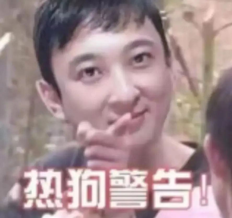 王思聪说连花清瘟胶囊功效与作用,王思聪炮轰连花清瘟