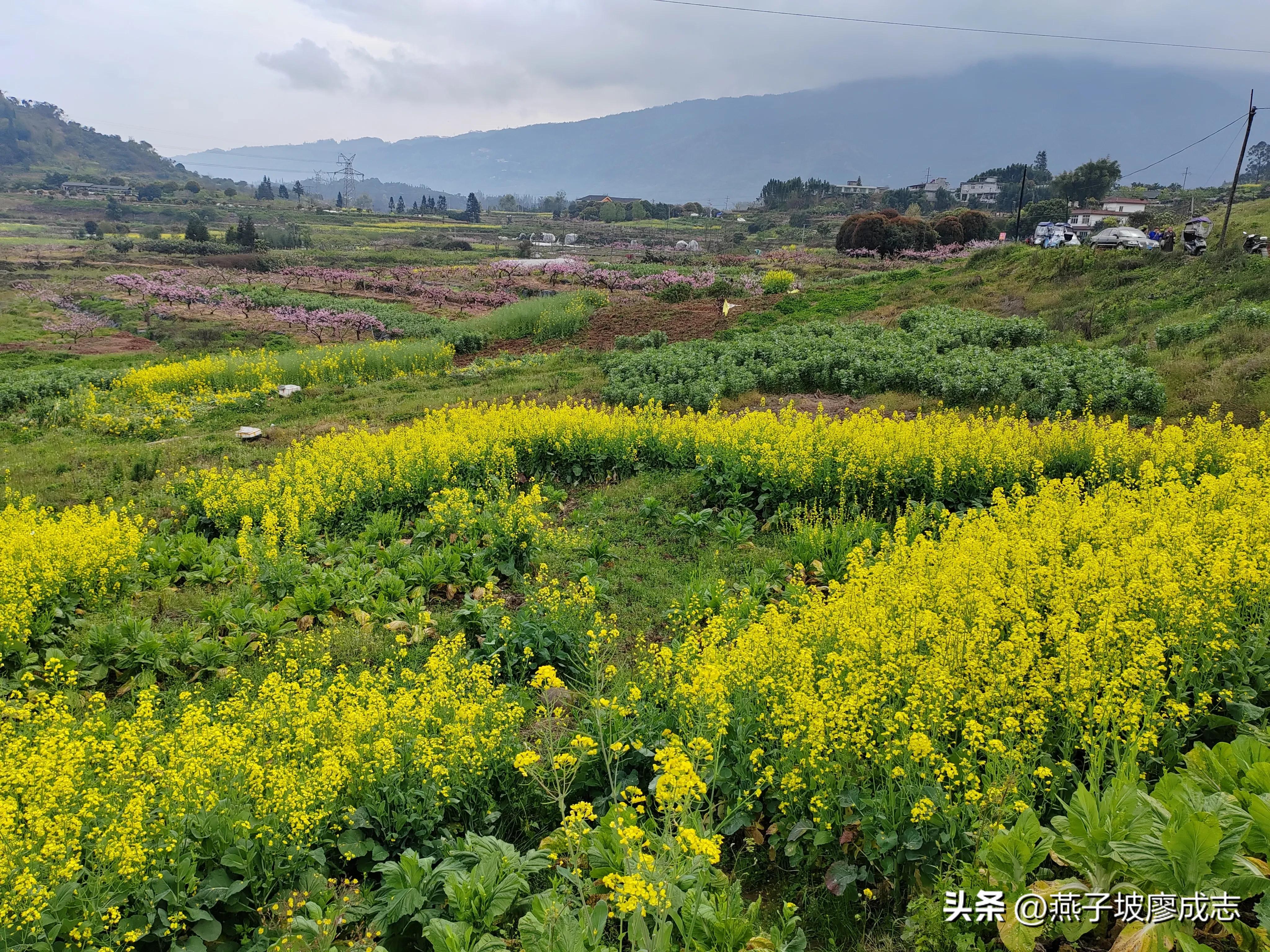 革命薪火,革命薪火代代相传绘画