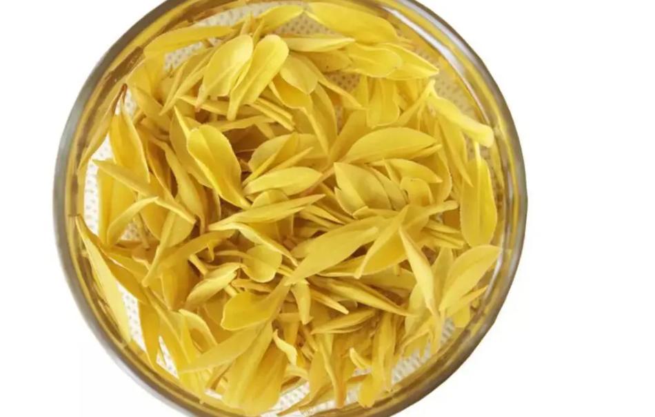 茶叶从冰箱拿出来能不能立即打开,茶叶放冰箱冷藏里再拿出来会坏吗