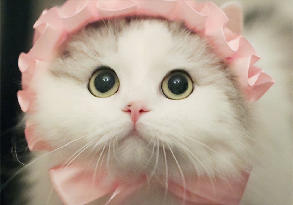 口鼻呼吸面容如何矫正,口鼻相通怎么修复