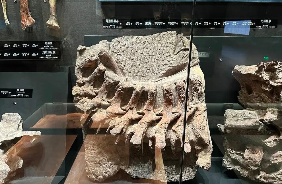 重庆自然资源科普馆要门票不,重庆自然资源科普馆一共几个馆