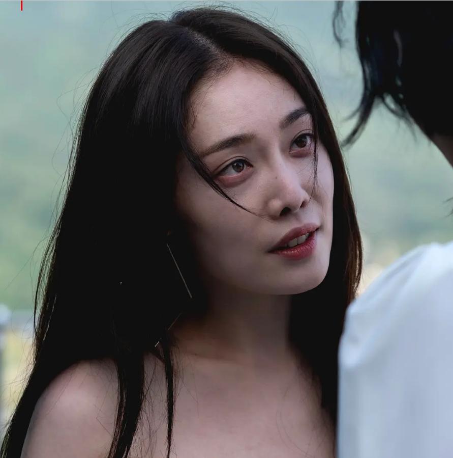 和黑暗荣耀差不多的复仇剧有哪些,与黑暗荣耀媲美的复仇剧