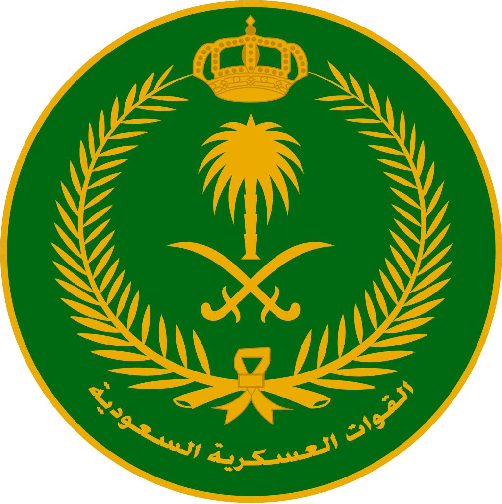 沙特阿拉伯军队服颜色,沙特阿拉伯队叫做什么名字