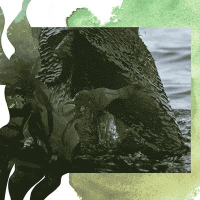 lamer海蓝之谜新生活肤精华油30ml,海蓝之谜焕活精华油适合油痘肌吗