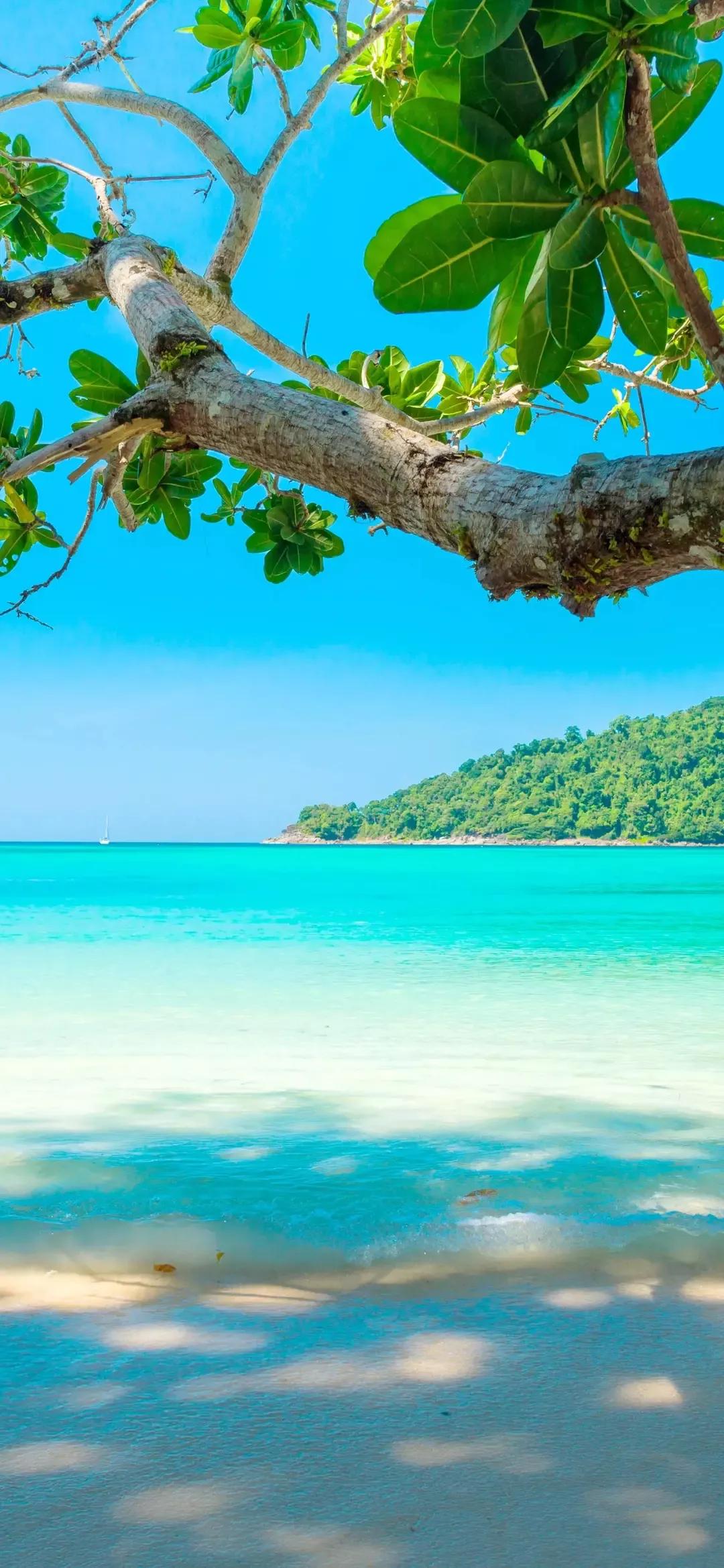 大海壁纸｜大海边，守候朝霞，聆听海浪的乐章