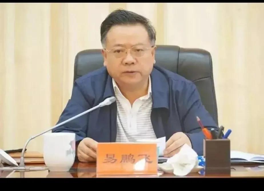 十年来全面从严治党打虎拍蝇,零容忍第二集打虎拍蝇观后感