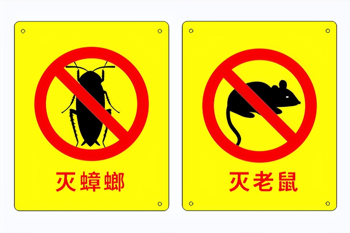 灭鼠灭蟑螂主要在什么场所,灭鼠灭蟑螂服务怎么样