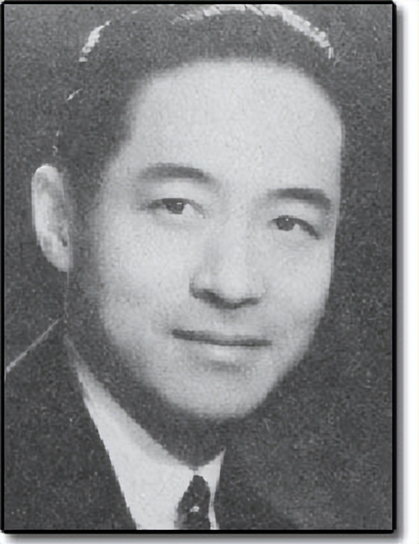 谍战玫瑰沈安娜的传奇人生,谍战玫瑰沈安娜电视剧多少集