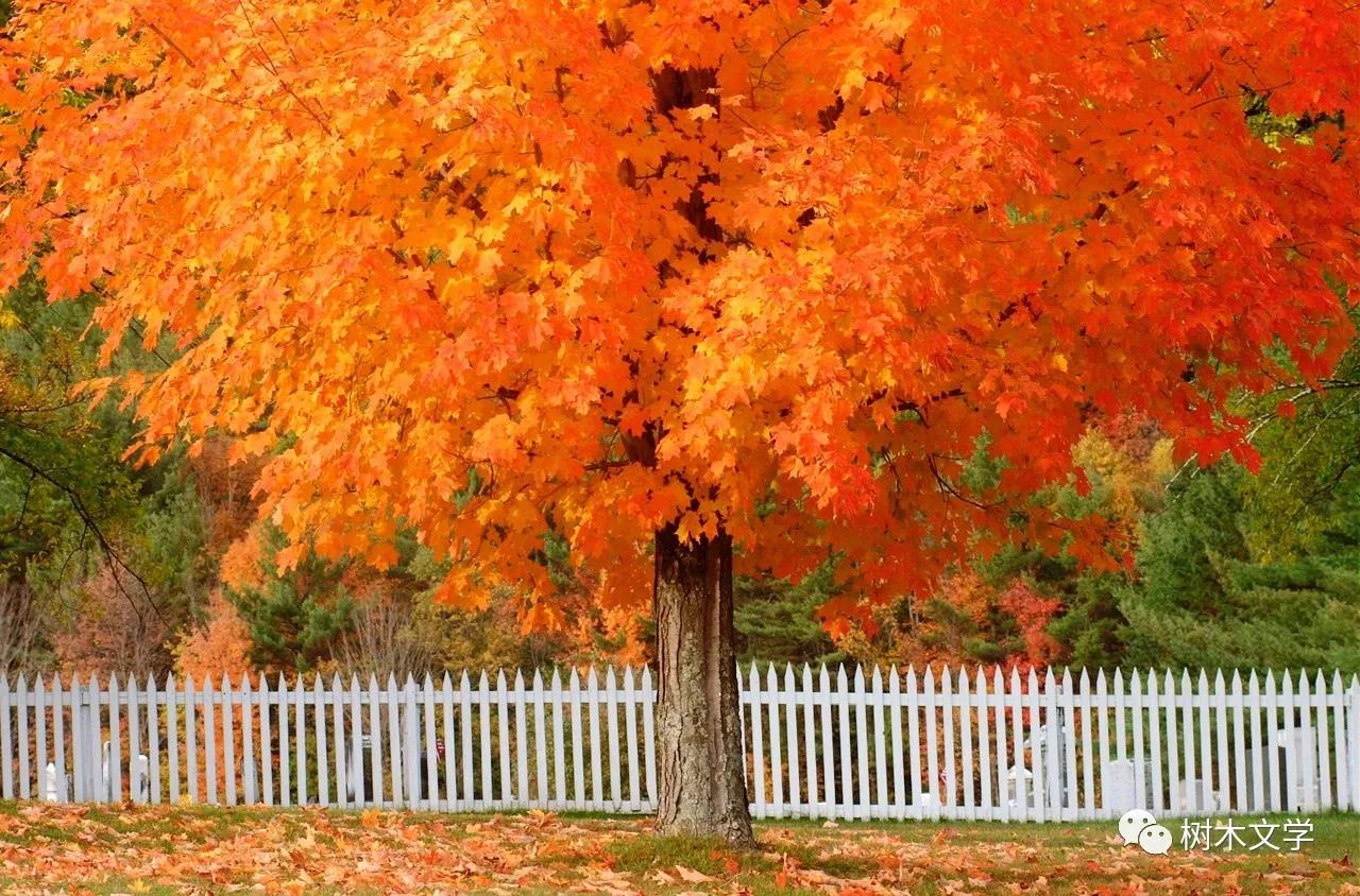 自主创业的好机会,从个人生活经历中寻找创业机会