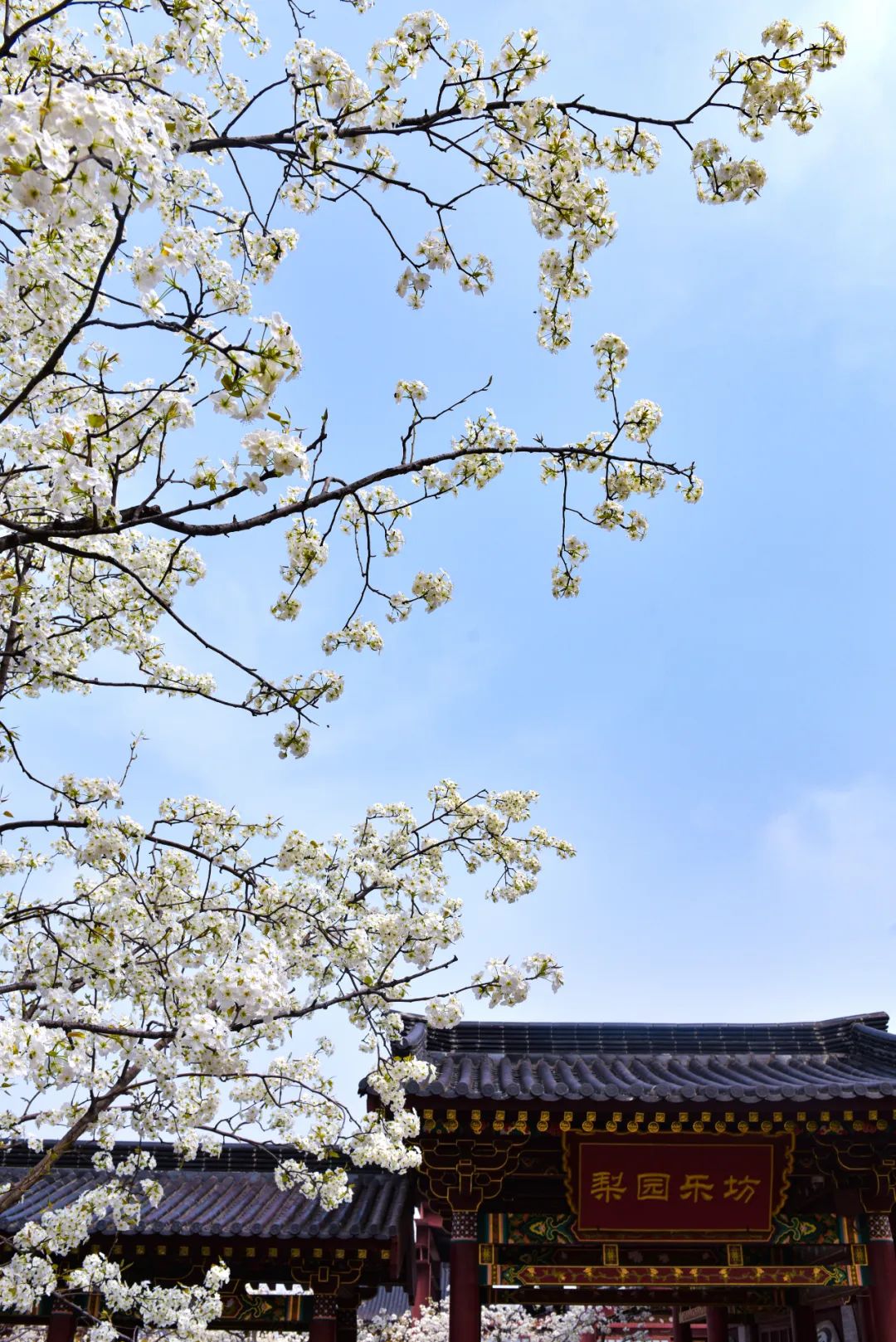 春日来信,春日来信与美好不期而遇